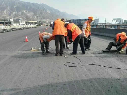 乐亭道路桥梁病害治理